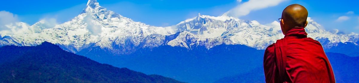 The Science of Meditation and Mindfulness